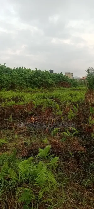 1 and Half Plots of Land Available in Ojo