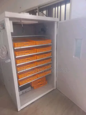 2112 Poultry Egg Incubator. Setter With Hatcher