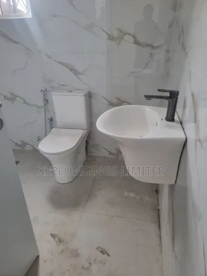 Professional Plumbing Experts Lagos