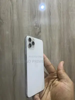 Apple iPhone 11 Pro Max 256 GB Silver