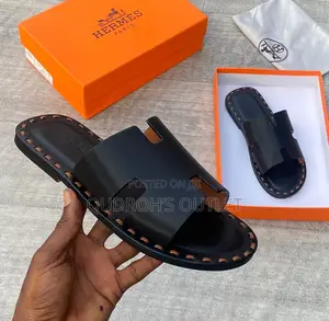 Hermes Palm