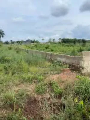 Land for Sale in (Umuhu Okabia) Orsu Lga, Imo State