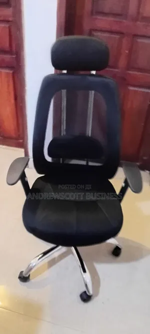 Executive Iron Back Net Chair