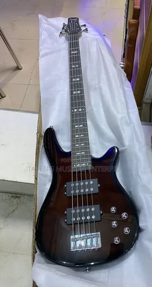 Wellsound Five String Electric Bass Guitar