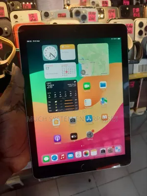Apple iPad Pro 64 GB Gray
