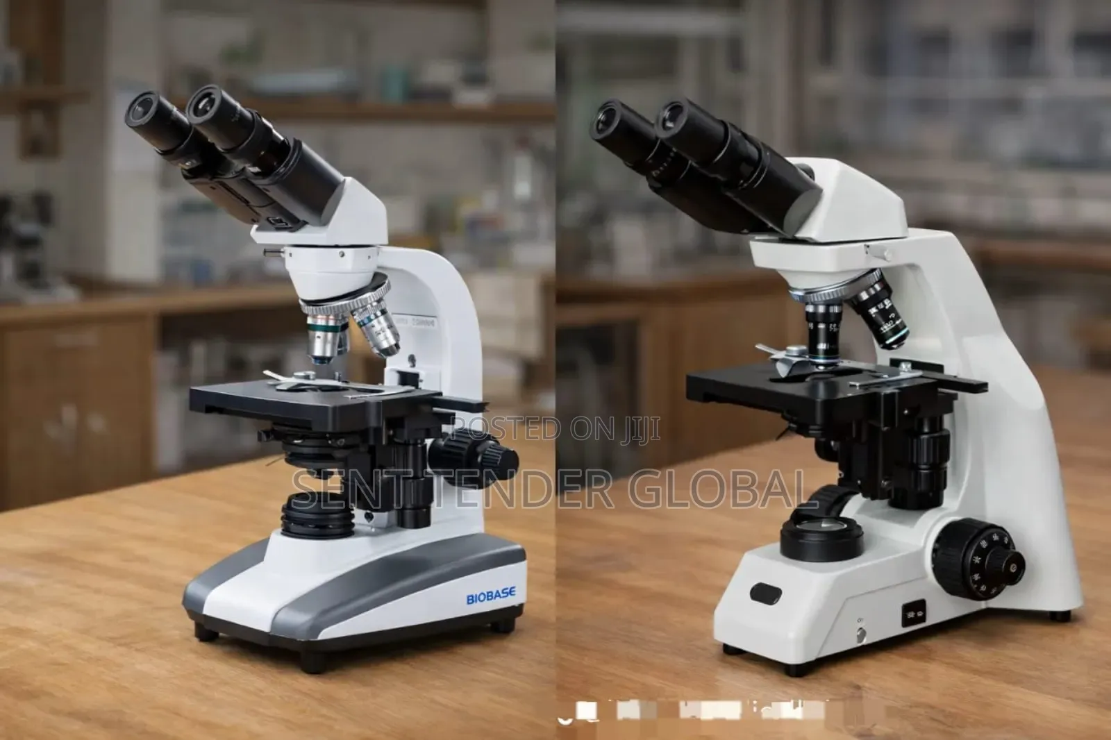 Binocular Microscope