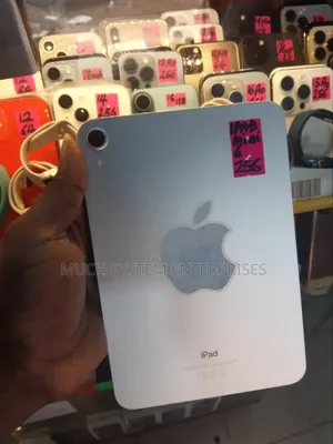 Apple iPad mini 6 256 GB Gray
