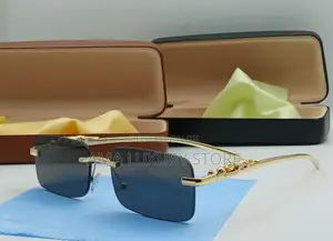 Cartier Luxury Rimless Designer Glasses