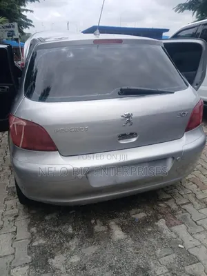 Peugeot 307 2007 Silver