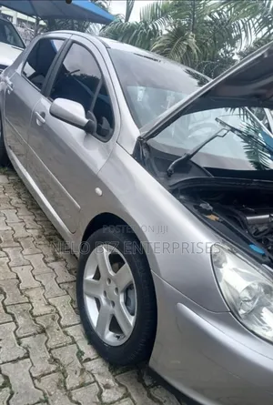 Peugeot 307 2007 Silver