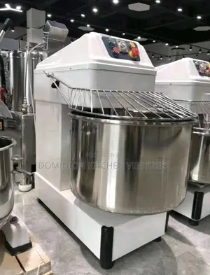 This Is Industrial Spiral Mixer