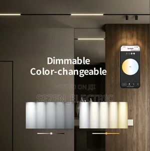 Smart Homes Tuya Magnetic Track Lighting Systems.