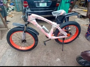 Simba Adult Bicycle