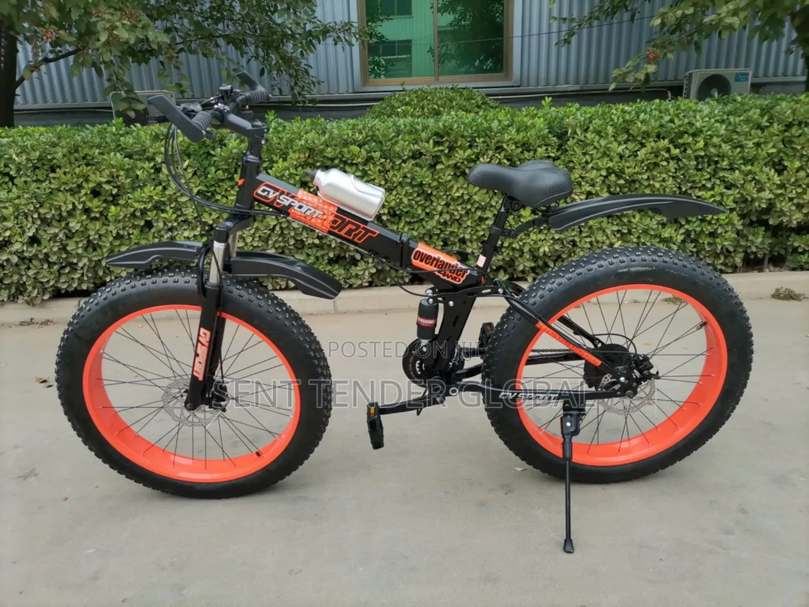 Luxury Adult Bicycle