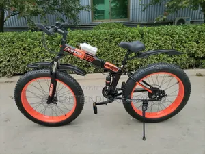 Luxury Adult Bicycle
