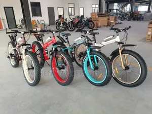 Adult Bicycle