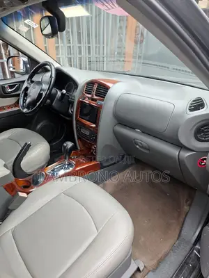 Hyundai Santa Fe 2006 Gray