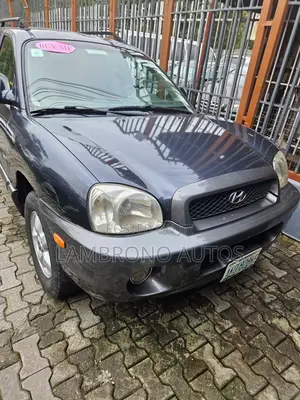 Hyundai Santa Fe 2006 Gray