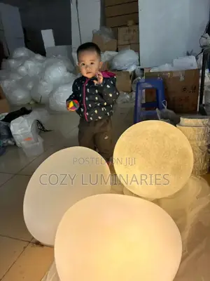 Modern Led Ball Lamp / Moon Light – Decorative Indoor Lighting