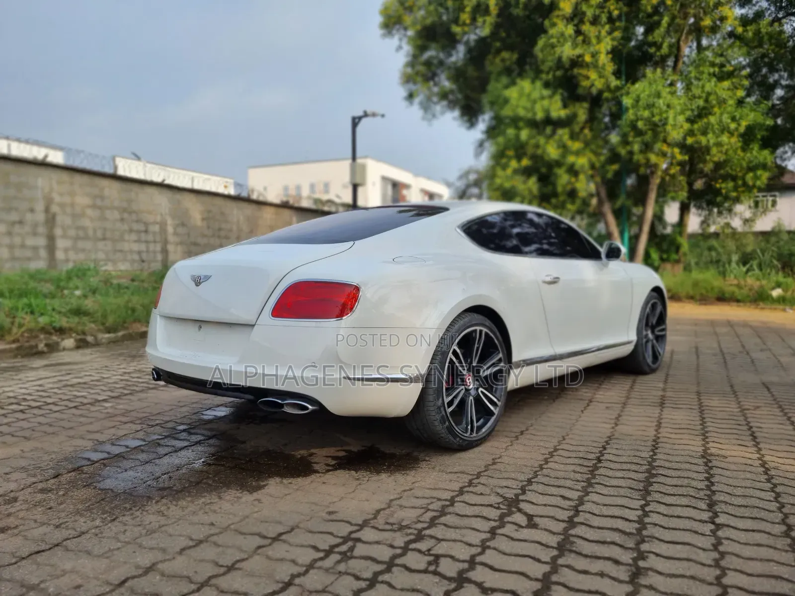 Bentley Continental 2013 White