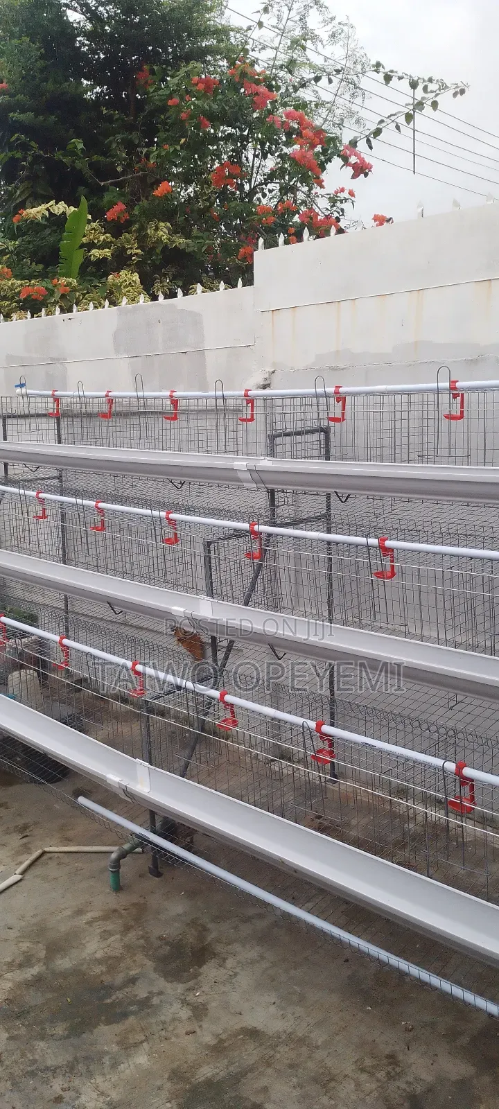 Battery Cage