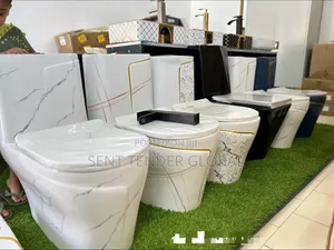 Wc Toilet Seat With Wash Hand Basin