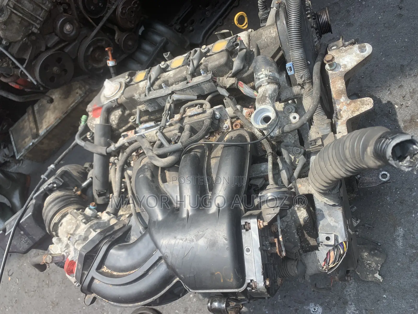 Lexus Rx330 Engine