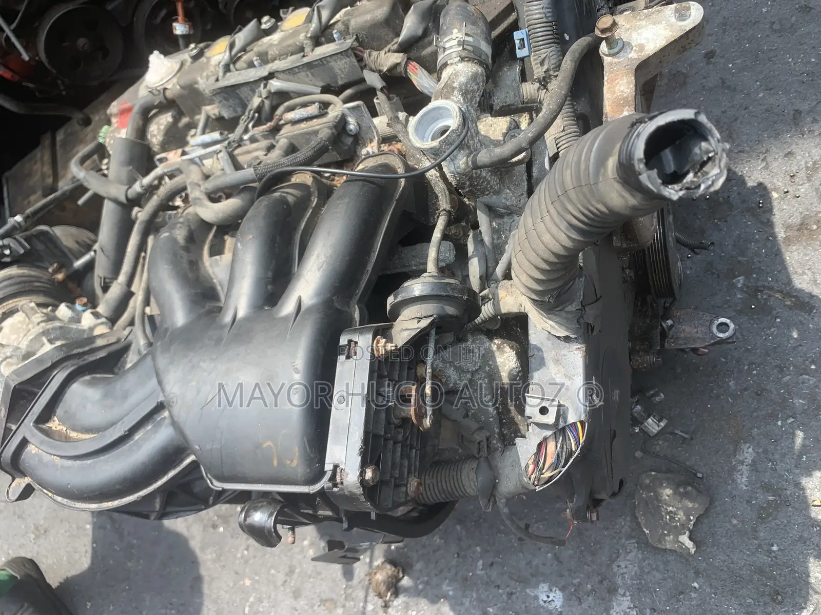 Lexus Rx330 Engine