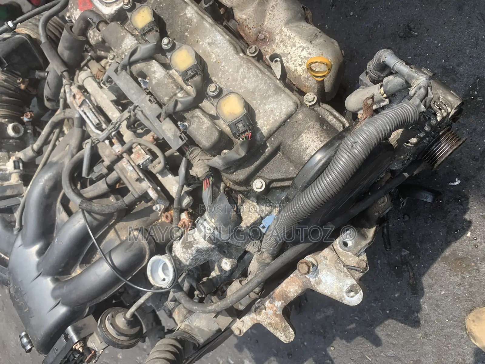 Lexus Rx330 Engine