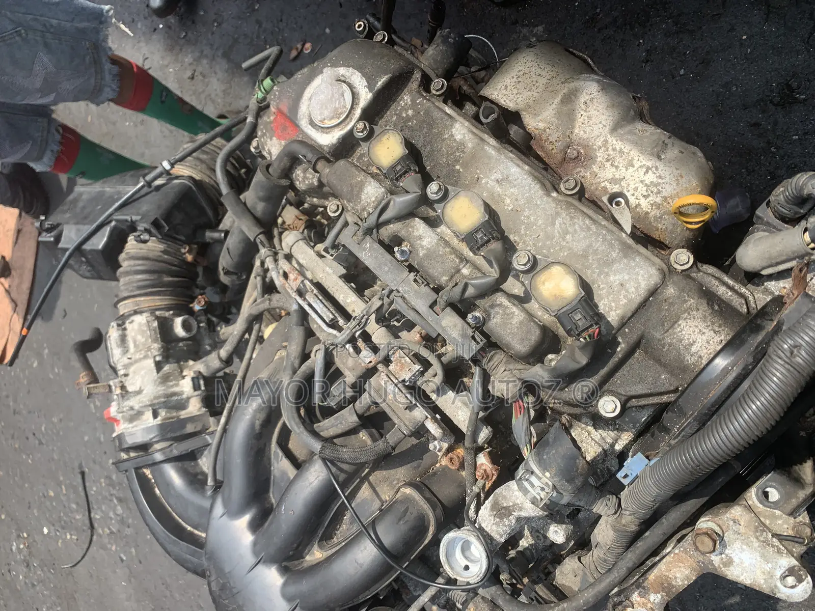 Lexus Rx330 Engine