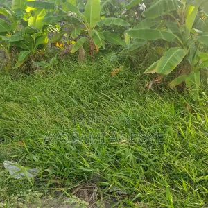 Plot for Sale at Ikoyi and Oniru Lagos Nigeria