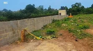 Massive Land Available for Developers* Individuals