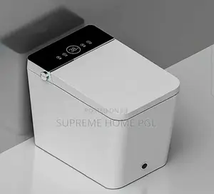 High Quality Smart Toilet