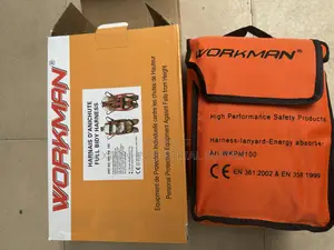Workman Full Body Harness (Double Hook)