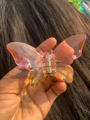 Transparent Hair Clips