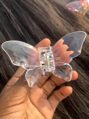 Transparent Hair Clips
