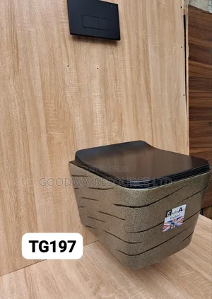Wall Hung Water Closets