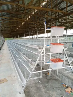 Foreign Cages