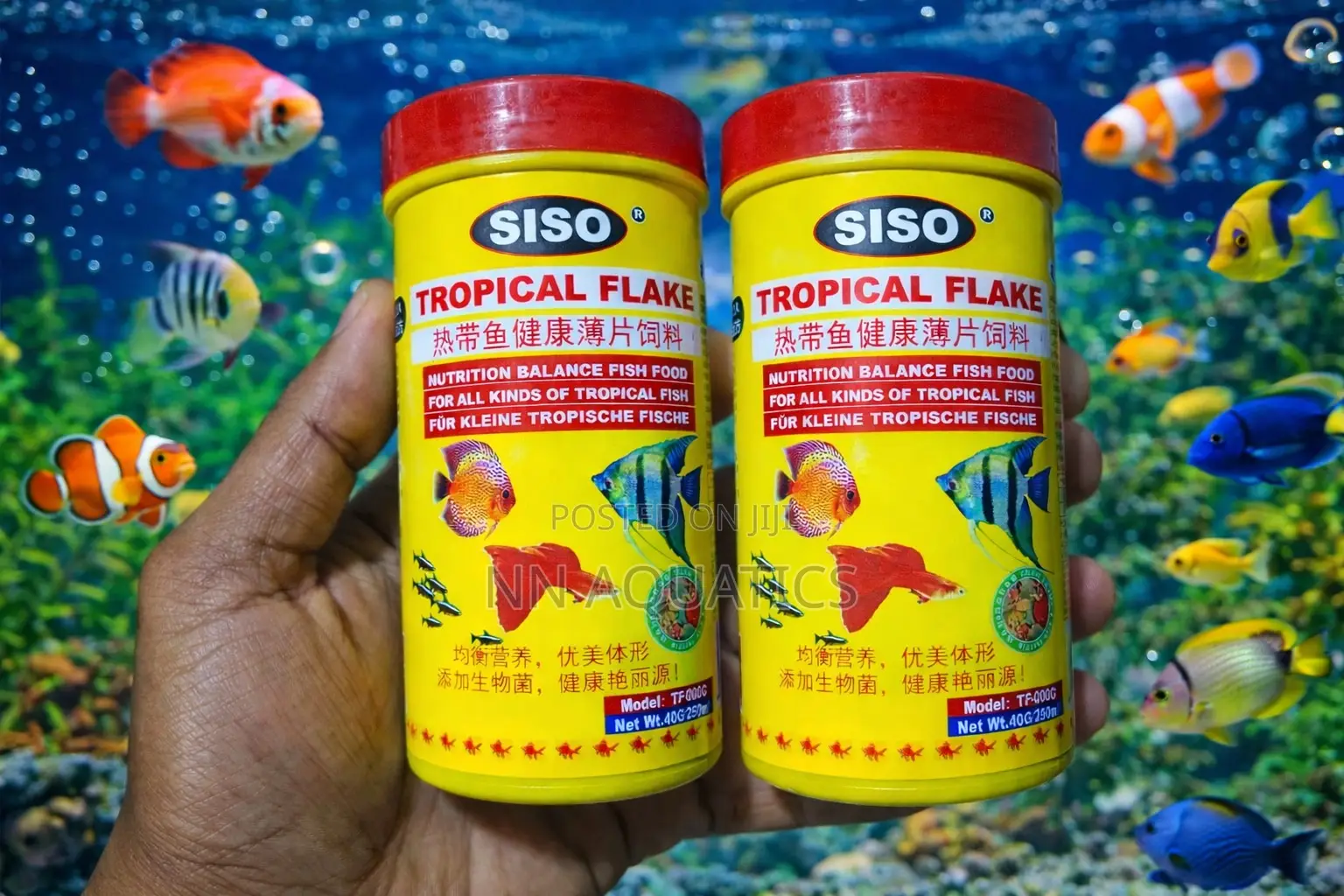 Siso Tropical Flake Fish Food