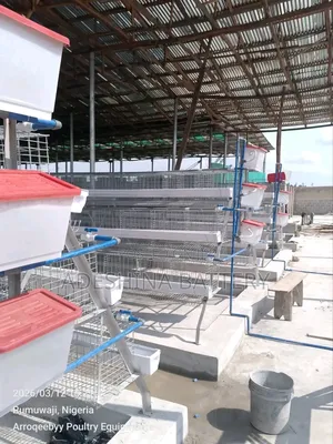 Nigeria Quality Cages