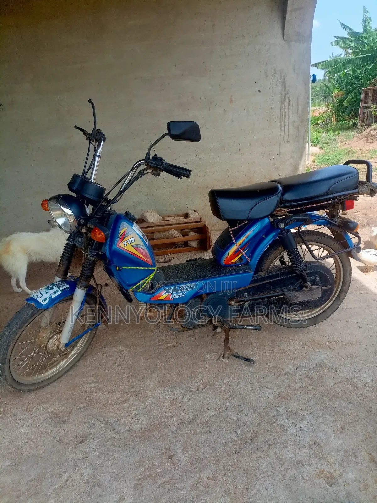 TVS XL 100 2024 Blue