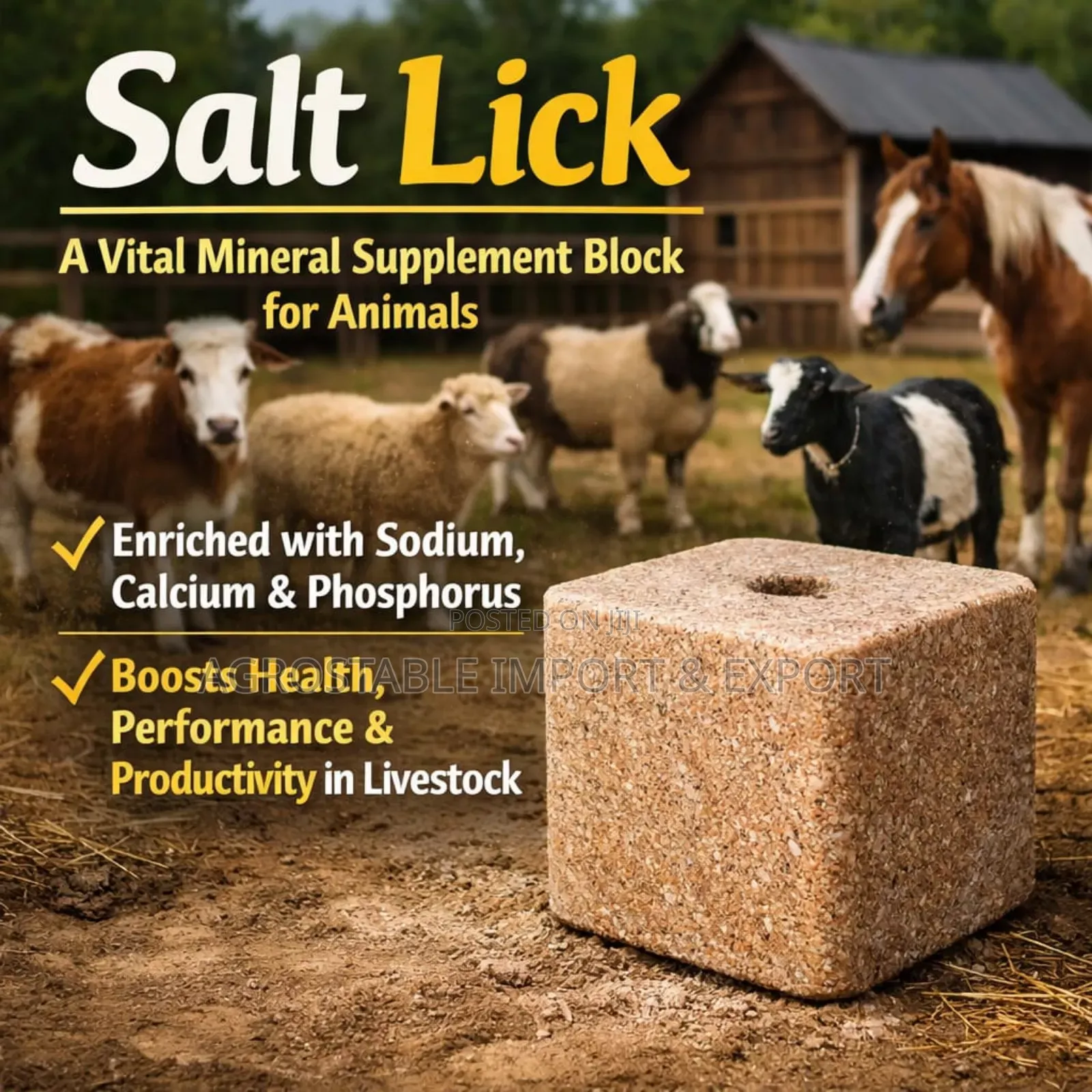 White Mineral Lick