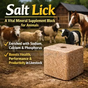White Mineral Lick