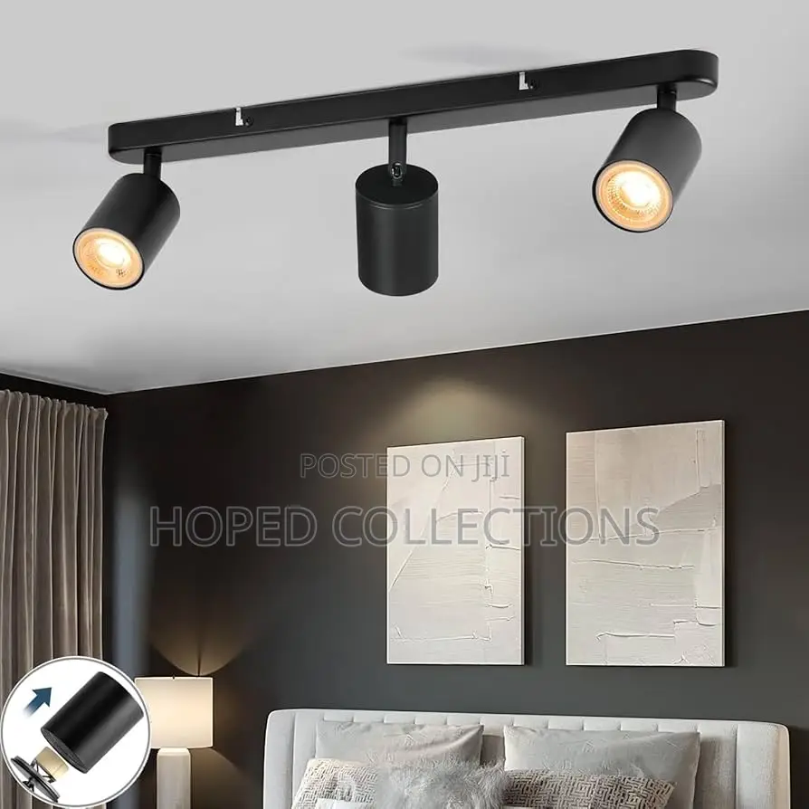Track Light
