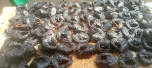 Premium Dry Catfish