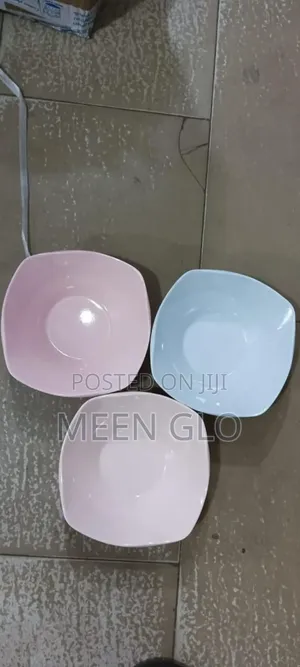 1 Dozen Unbreakable Ceramic-Style Plate