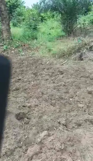 Investments Land
