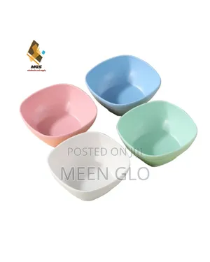 1 Dozen Unbreakable Ceramic-Style Plate