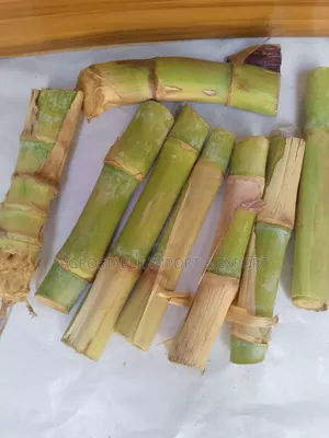 Magic Grass Cuttings