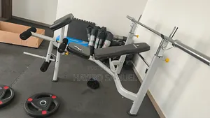 Commercial Olympic Bench